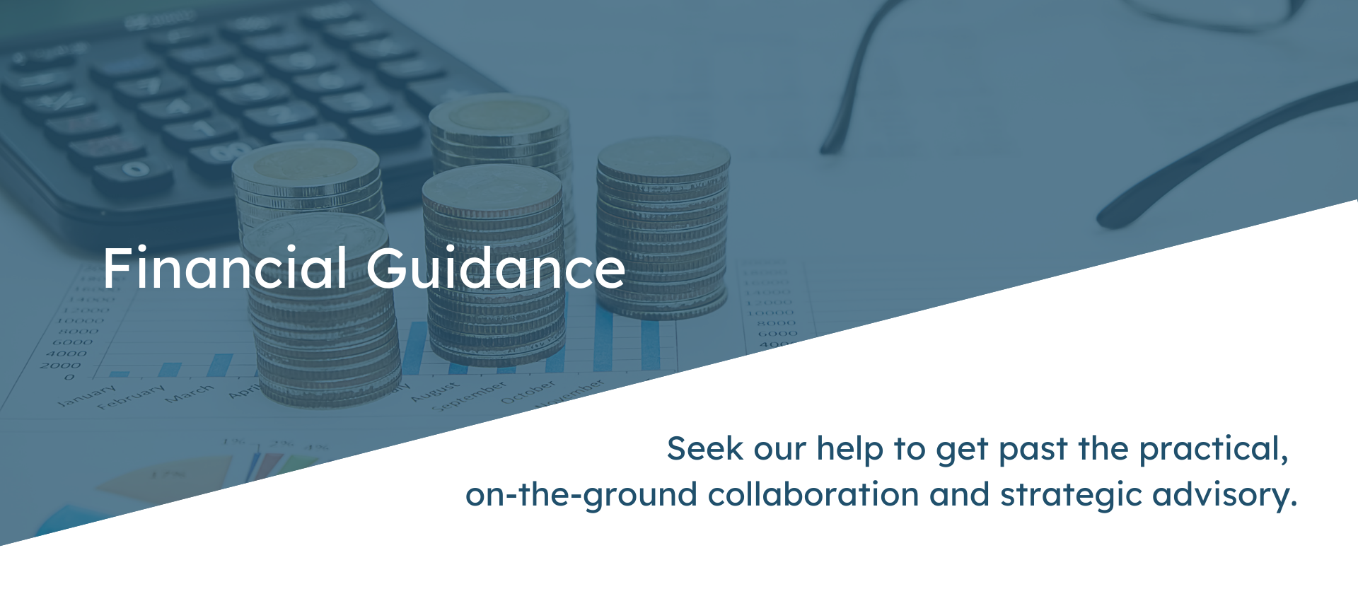 financial-guidance